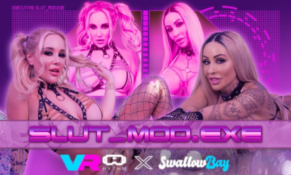 [VR Pmv] Slut_Mod.Exe